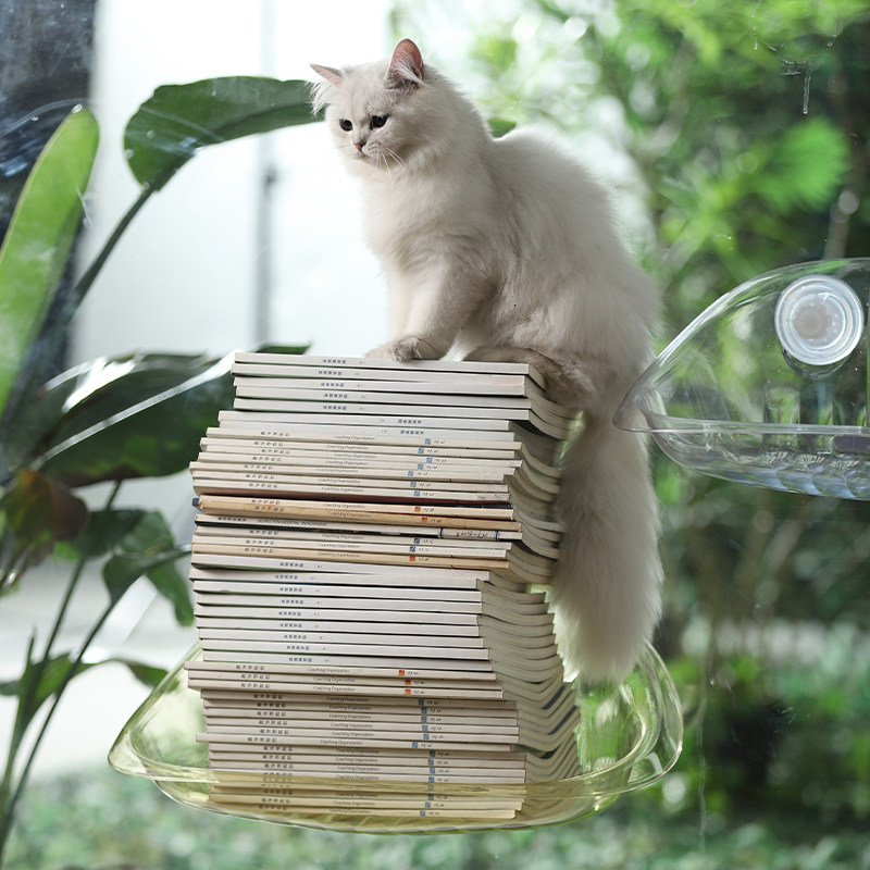 猫窝四季通用猫床宠物沙发夏季吸盘挂床猫咪睡觉用窗户悬挂猫吊床,淘宝优惠券,粉丝福利购,淘宝优惠卷