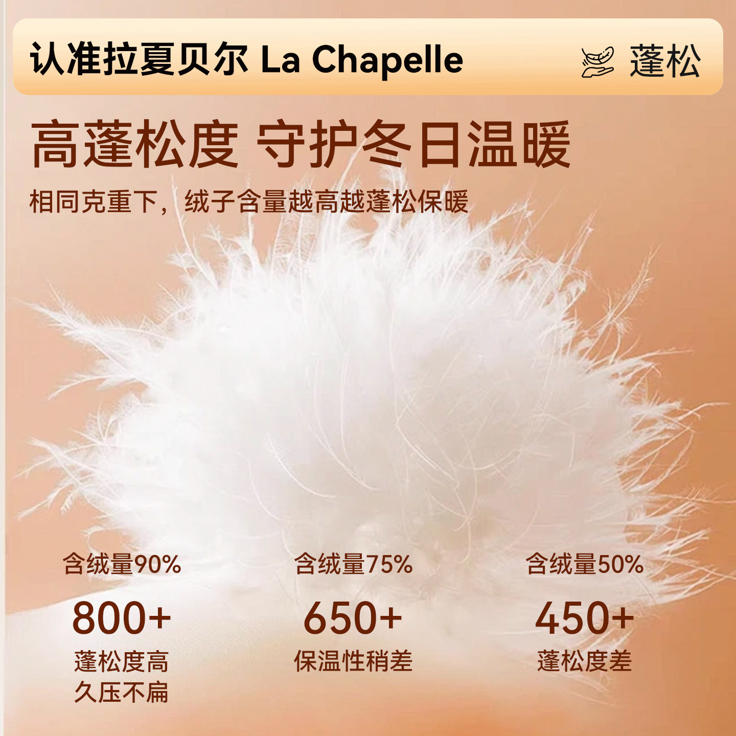 拉夏贝尔鸭绒保暖背心女2026新款自带胸垫免穿文胸一体式打底内衣,淘宝优惠券,粉丝福利购,淘宝优惠卷