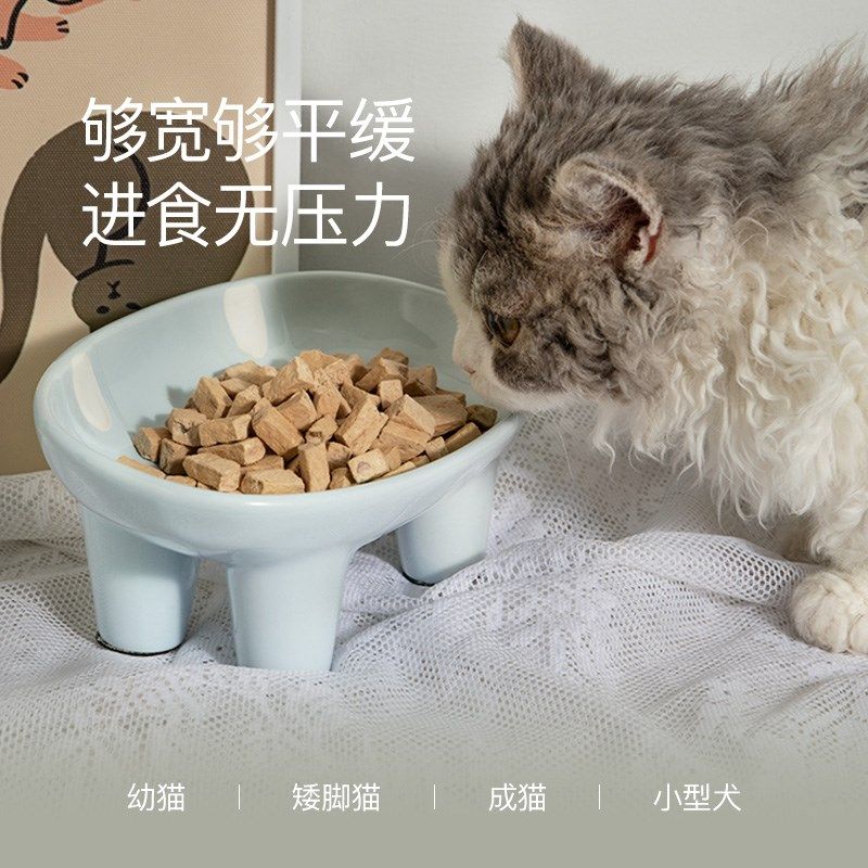 一眯十二生肖垂耳兔陶瓷猫碗狗碗护颈碗食盆宠物喂食碗水碗防打翻,淘宝优惠券,粉丝福利购,淘宝优惠卷