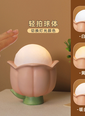 可爱花朵拍拍小夜灯创意实用收纳玄关客厅桌面卧室床头装饰品摆件