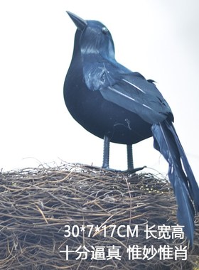 万圣节乌鸦装饰摆件仿真黑色羽毛小鸟装饰品场景布置道具拍照用品