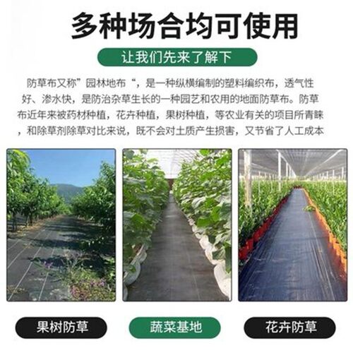 防草布农用除草布果园抗老化果树耐用地膜透气保湿园艺地布盖草遮 - 图1