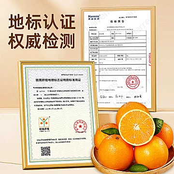 淘贝贝溯源正宗赣南脐橙精品大果[20元优惠券]-寻折猪