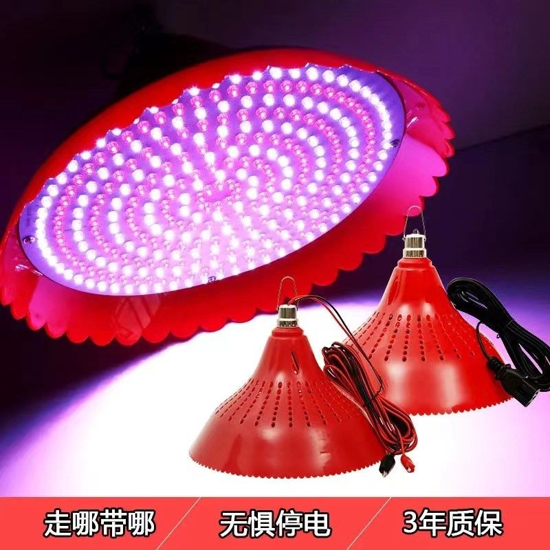 12V24V48V地摊灯夜市低压电瓶灯生鲜灯猪肉灯水果熟食灯红光变色,淘宝优惠券,粉丝福利购,淘宝优惠卷