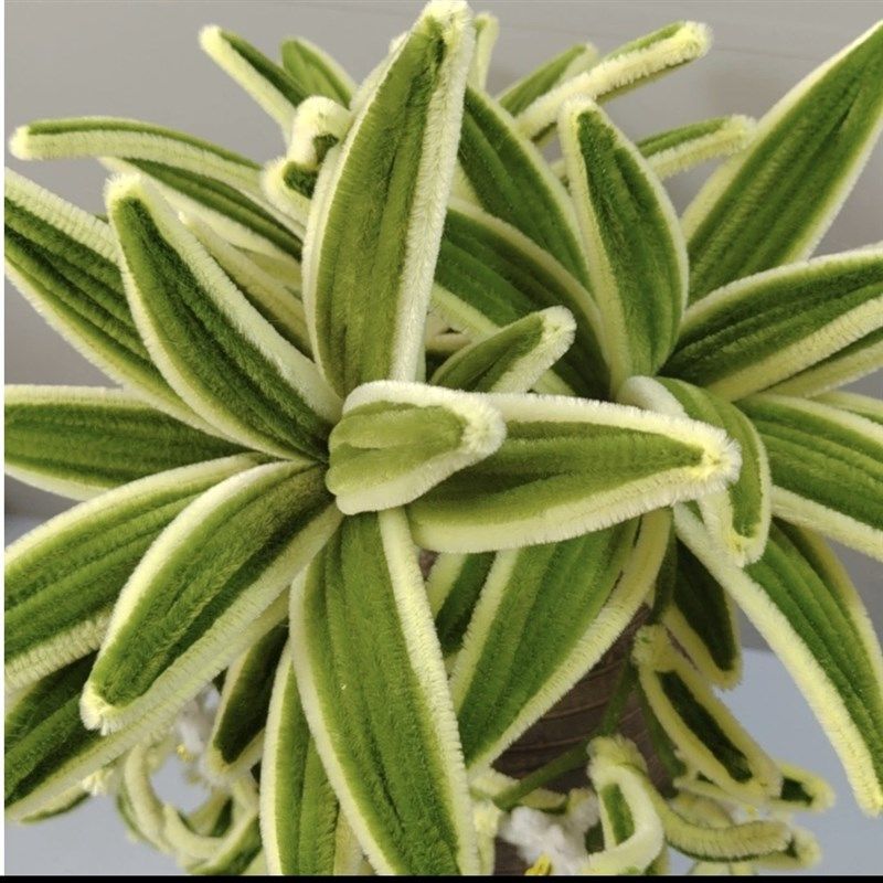 非成品 加密扭扭棒材料包 手工制作吊兰 摆件创意DIY 亲子手工,淘宝优惠券,粉丝福利购,淘宝优惠卷