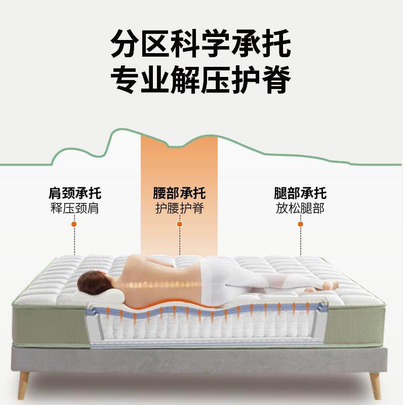 出租屋家用席梦思弹簧床垫舒床适2cm厚软硬两1用BPM.8米乳0胶椰棕,淘宝优惠券,粉丝福利购,淘宝优惠卷