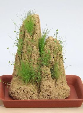 天然上水石吸水石原石假山盆景摆件观赏石鱼缸造景奇石微景观