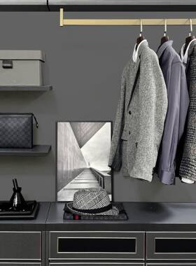 现代样板房男衣柜组套装合饰样ali-6691品摆件士软装托盘灰色板间