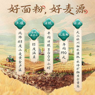 新疆面粉新麦都雪花粉小麦粉2斤*2袋奇台中高筋面粉水饺面包粉