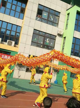 舞龙道具 九节国标龙 比赛竞技龙 高密度绸布 钢丝饱满 质量好