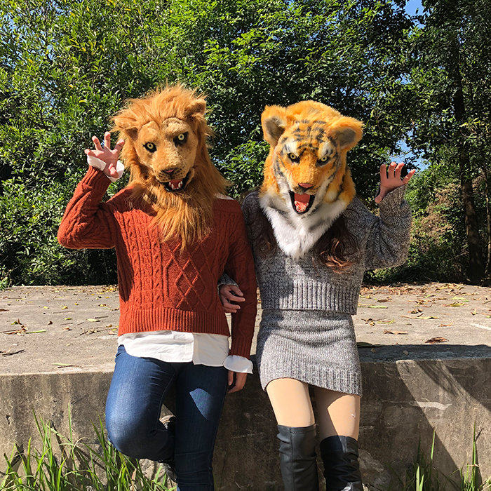 WILDBEAST 仿真老虎头套 COS节目表演动物面具演出道具万圣节新款,淘宝优惠券,粉丝福利购,淘宝优惠卷
