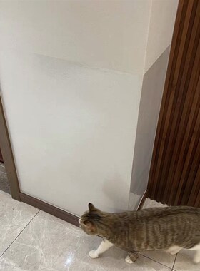 乳胶漆墙面透明保护膜餐桌旁墙面防脏壁纸防脏护墙贴墙纸保护贴