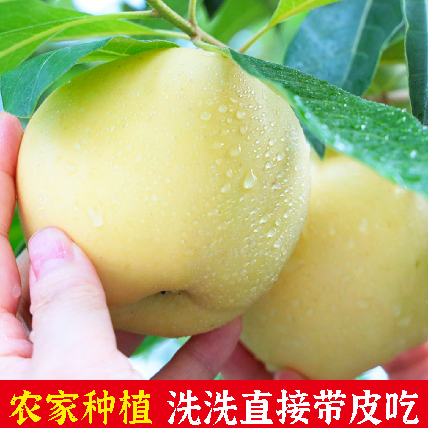 图 4