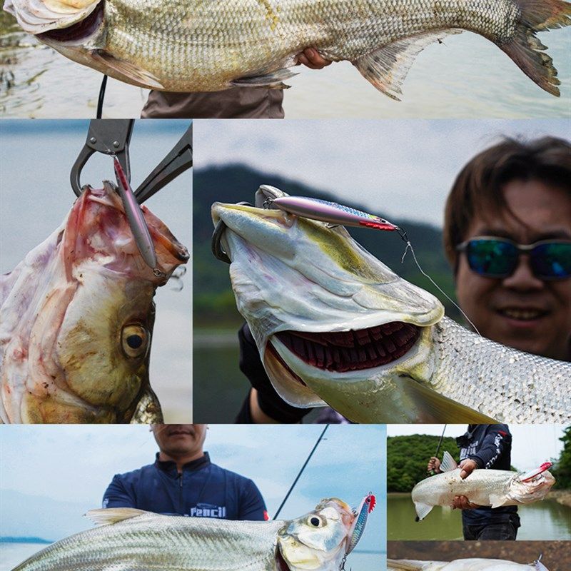 24款翼路猎人溜达鸡沉水铅笔远投路亚饵翘嘴鳜鱼鳡鱼白条专用假饵,淘宝优惠券,粉丝福利购,淘宝优惠卷