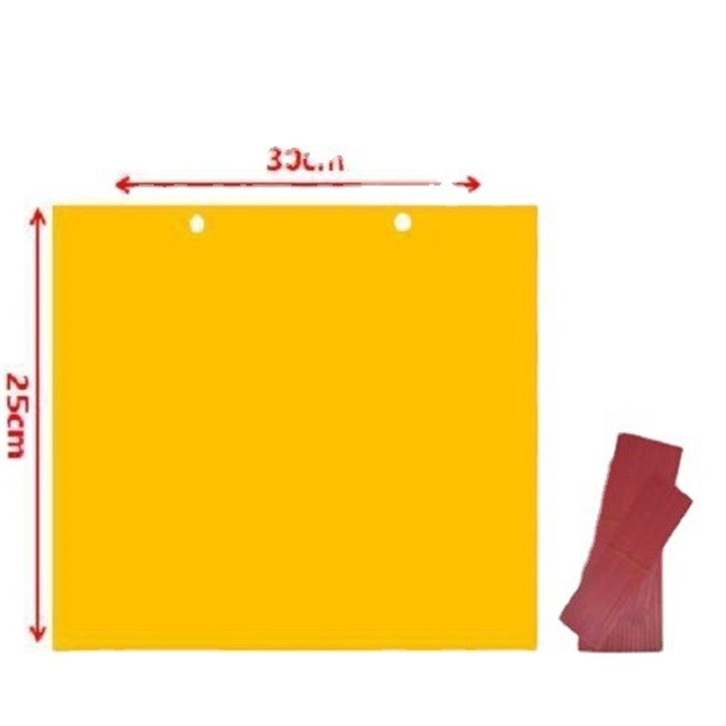 杀虫贴 粘虫板粘板果园温室除虫粘飞虫纸 粘虫板菜园种菜害虫茶叶,淘宝优惠券,粉丝福利购,淘宝优惠卷