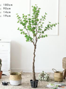 高档北欧醉ins绿风吊钟大型仿真植物装饰假客树马木植室内厅落地