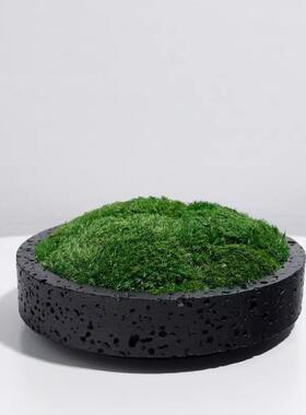 简约现代黑色花盆摆件仿真青苔绿植装饰客厅桌面酒店永生苔藓摆件
