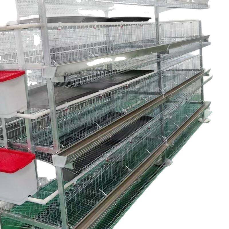 粪盘蛋鸡笼厂家镀锌材质三层四层自动清粪养鸡笼家用养殖鸡笼,淘宝优惠券,粉丝福利购,淘宝优惠卷
