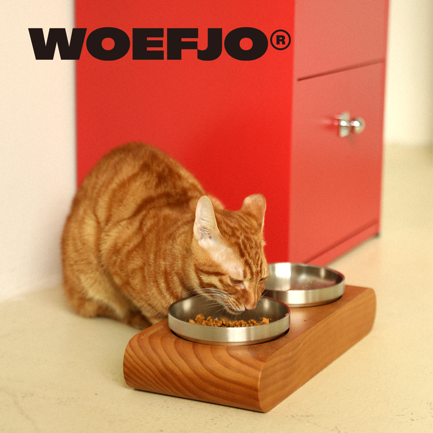 WOEFJO实木宠物双碗餐桌护颈猫碗狗碗陶瓷碗不锈钢碗防打翻猫狗碗,淘宝优惠券,粉丝福利购,淘宝优惠卷