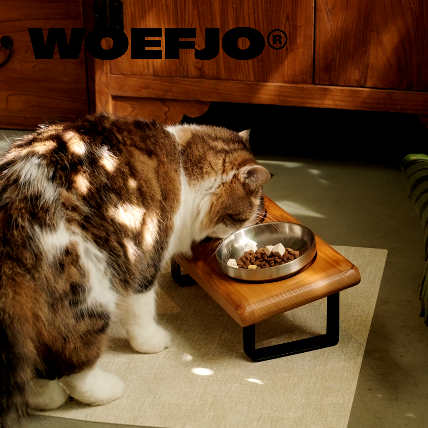 WOEFJO实木宠物餐桌猫狗护颈碗斜角双碗增高猫狗碗陶瓷碗不锈钢碗,淘宝优惠券,粉丝福利购,淘宝优惠卷