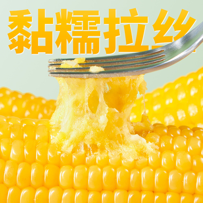 岁浓东北有机黄糯甜玉米真空装