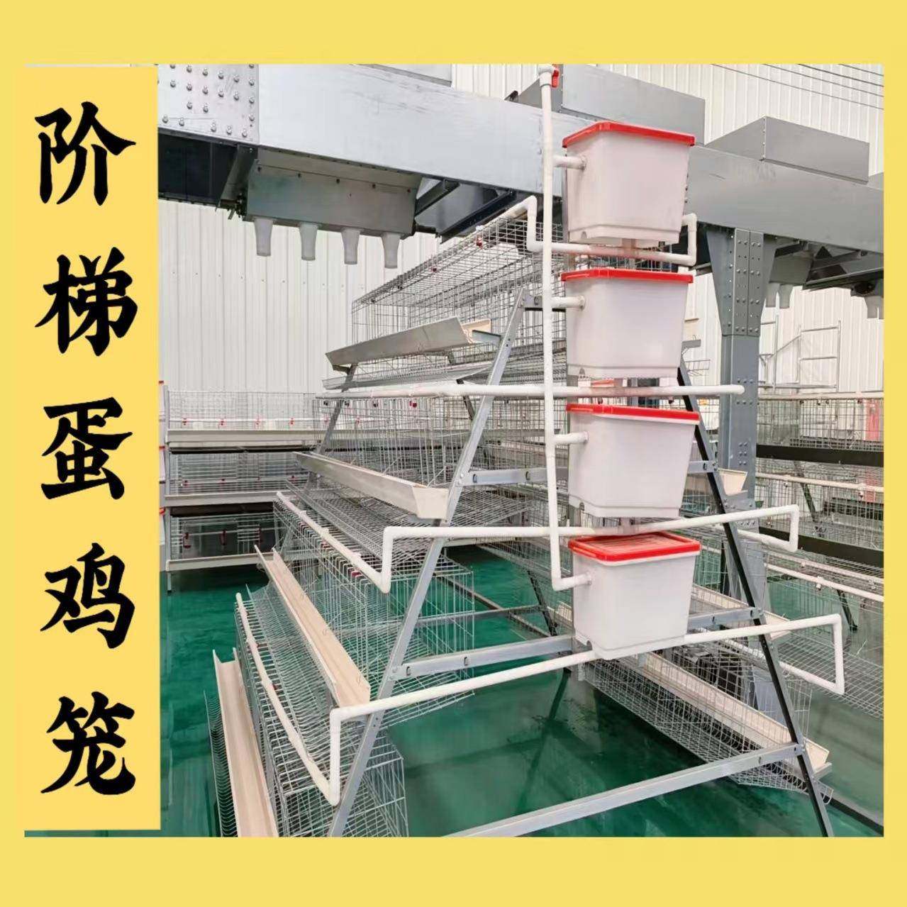 热镀锌阶梯蛋鸡笼耐腐蚀耐用商用阶梯蛋鸡笼层间错位防粪便污,淘宝优惠券,粉丝福利购,淘宝优惠卷