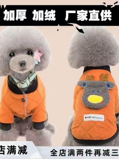宠物泰迪冬天秋冬装加厚两脚博美比熊小型犬幼犬加绒狗狗衣服纯棉