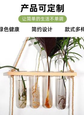 挂壁绿植装饰品悬挂式木架试管玻璃花瓶水培植物容器创意家居