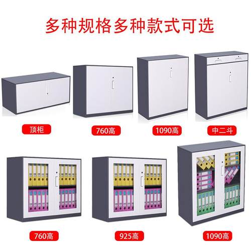 钢柜制文件柜套色皮柜铁资料柜储物柜打印机茶水柜地隔断TS09柜落 - 图1