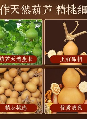 门对门五帝钱天然葫芦挂件开口大门口玄关纯铜钱真胡芦吉祥结摆件