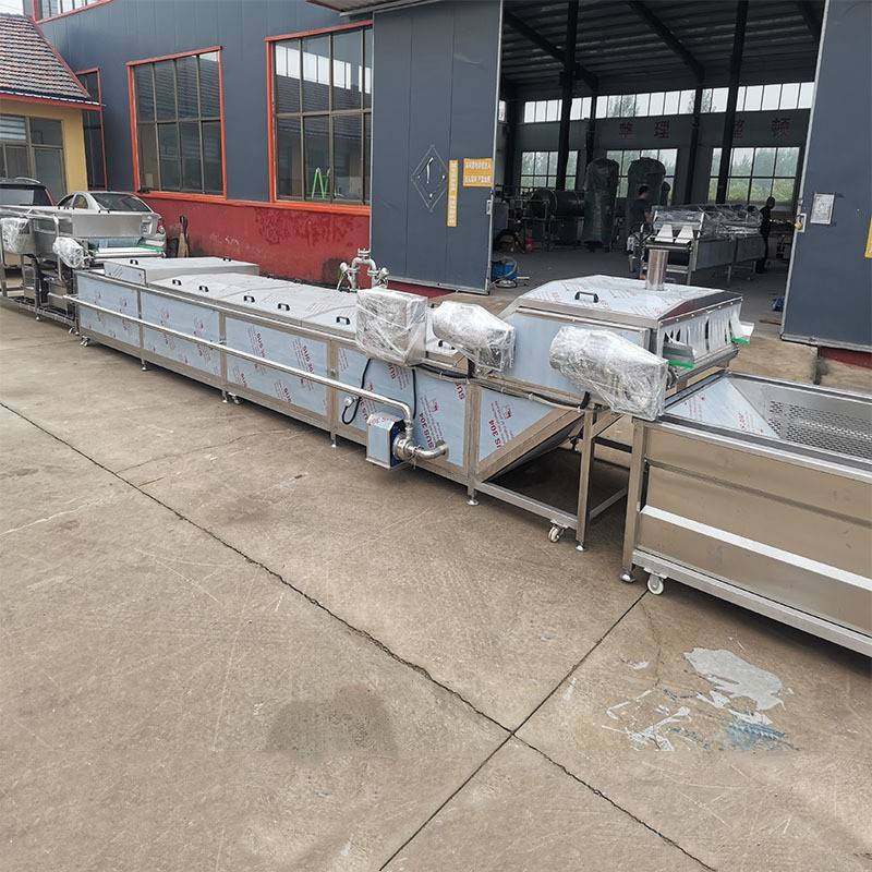 厂家直销全自动水浴式巴氏杀菌机蔬菜蒸煮清洗漂烫机水果杀菌设备,淘宝优惠券,粉丝福利购,淘宝优惠卷