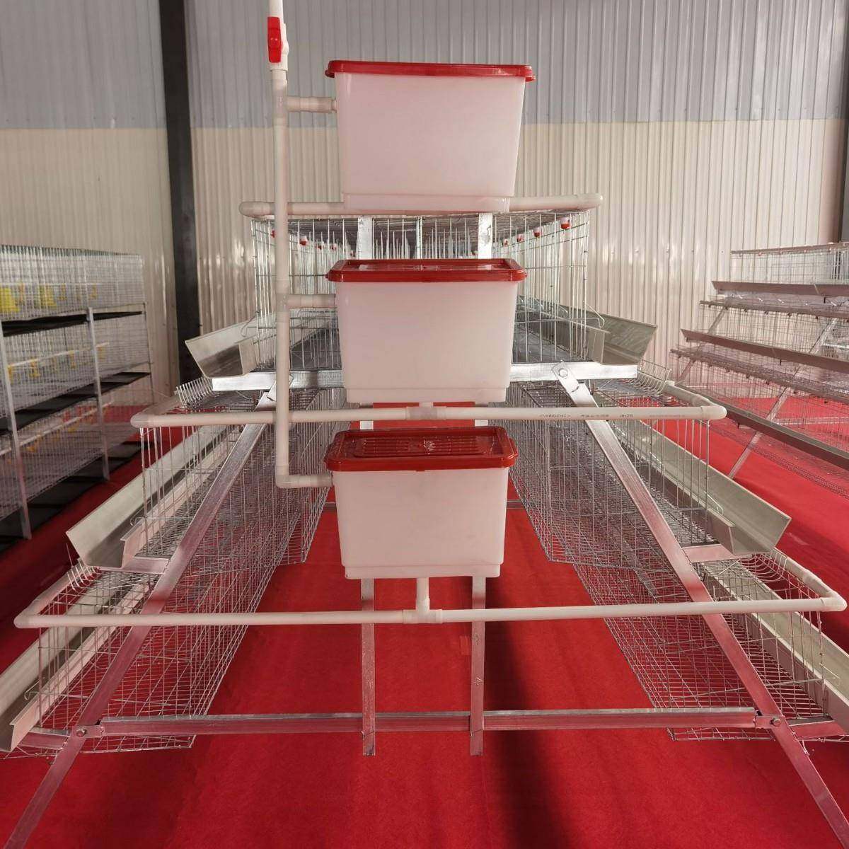 A型阶梯蛋鸡笼源头厂家三层四门阶梯蛋鸡笼热镀锌鸡舍家用养殖场,淘宝优惠券,粉丝福利购,淘宝优惠卷