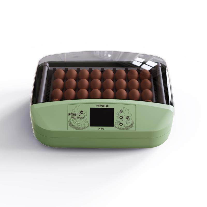 32枚家用孵化养殖鸡蛋孵化器鹌鹑鸟类孵化机家禽小鸡孵化箱,淘宝优惠券,粉丝福利购,淘宝优惠卷