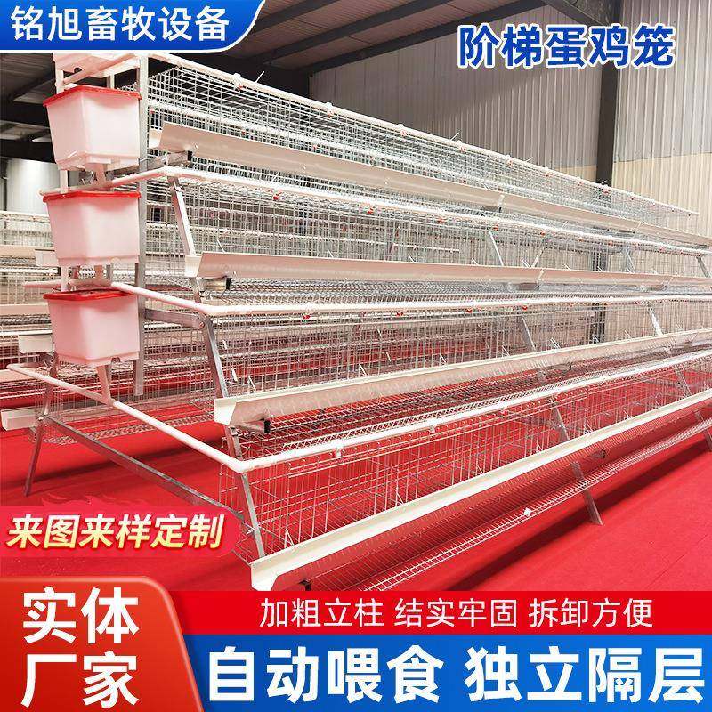 新型阶梯式四层蛋鸡笼热镀锌层叠式蛋鸡笼养设备多层自动化养鸡笼,淘宝优惠券,粉丝福利购,淘宝优惠卷