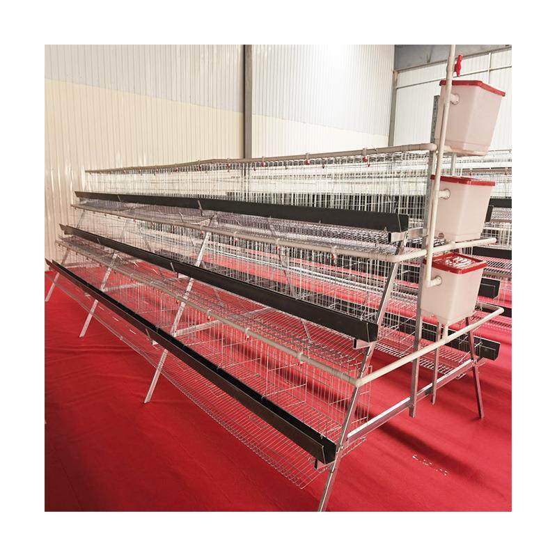 新型阶梯式四层蛋鸡笼热镀锌层叠式蛋鸡笼养设备多层自动化养鸡笼,淘宝优惠券,粉丝福利购,淘宝优惠卷