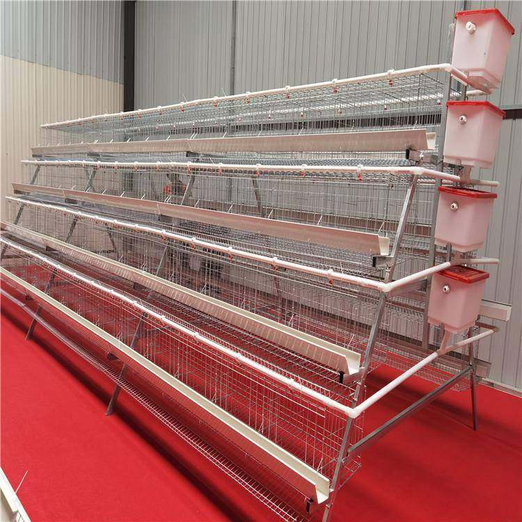 四层五门阶梯白槽蛋鸡笼镀锌工艺结实耐用不易腐蚀,淘宝优惠券,粉丝福利购,淘宝优惠卷