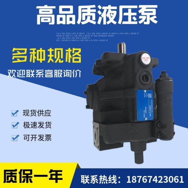 现货台湾油泵V15A1R10X V15A2R V15A3R V15A4R10X柱塞泵,淘宝优惠券,粉丝福利购,淘宝优惠卷