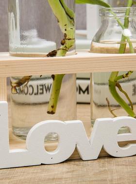 北欧水培植物玻璃花瓶家居小清新插花摆件装饰品客厅透明绿萝容器