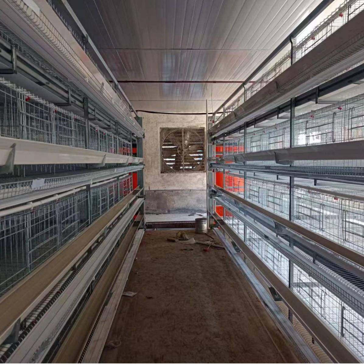 小层叠蛋鸡笼三层四层阶梯式各种禽类热镀锌养殖设备自动化蛋鸡笼,淘宝优惠券,粉丝福利购,淘宝优惠卷