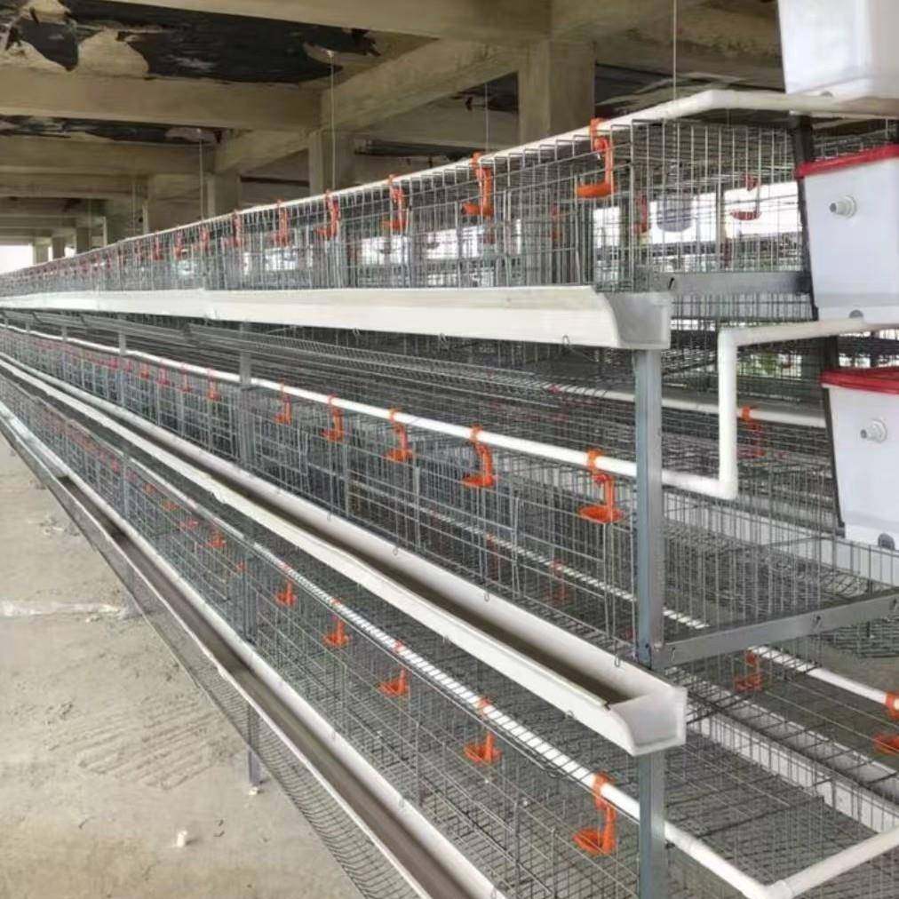 生产厂家各种规格阶梯蛋鸡笼冷热镀锌结实耐用,淘宝优惠券,粉丝福利购,淘宝优惠卷