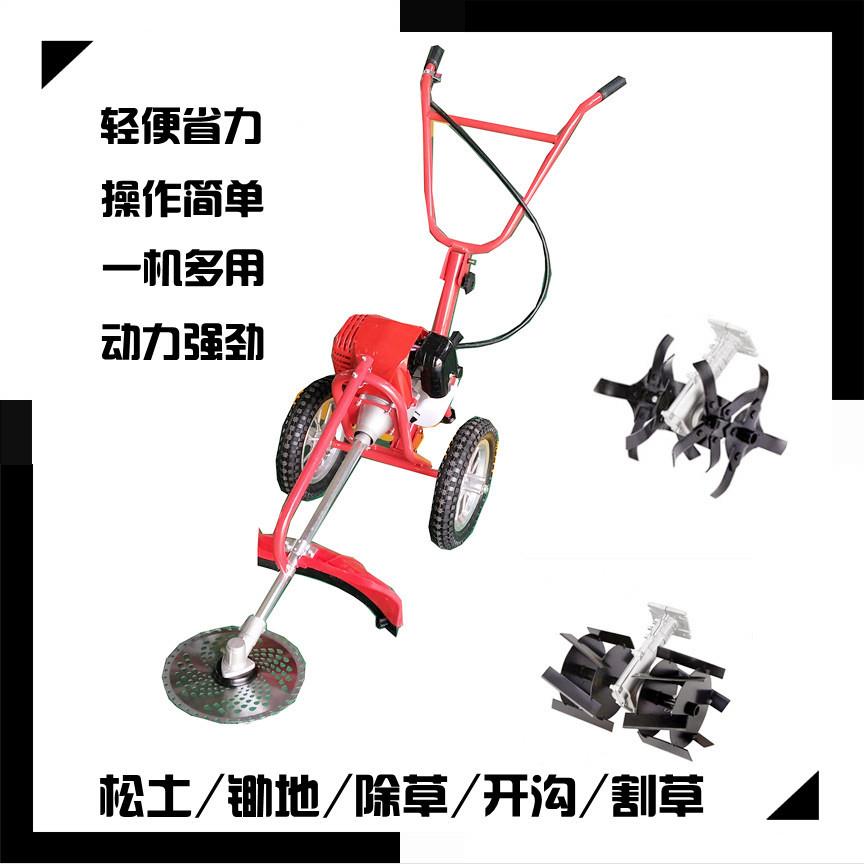 图5