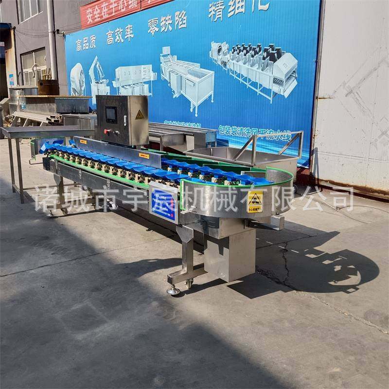 鸡爪琵琶腿全自动重量分选机家禽皮带式料盒式大小分级机牡蛎分选,淘宝优惠券,粉丝福利购,淘宝优惠卷