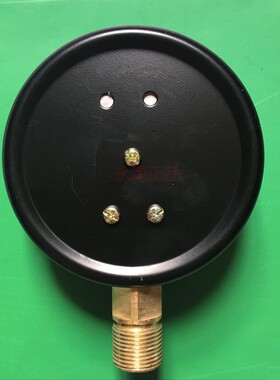 雷尔达60kpa压力表微压气压Y100普通压力表水压0.06mpaY-100正品