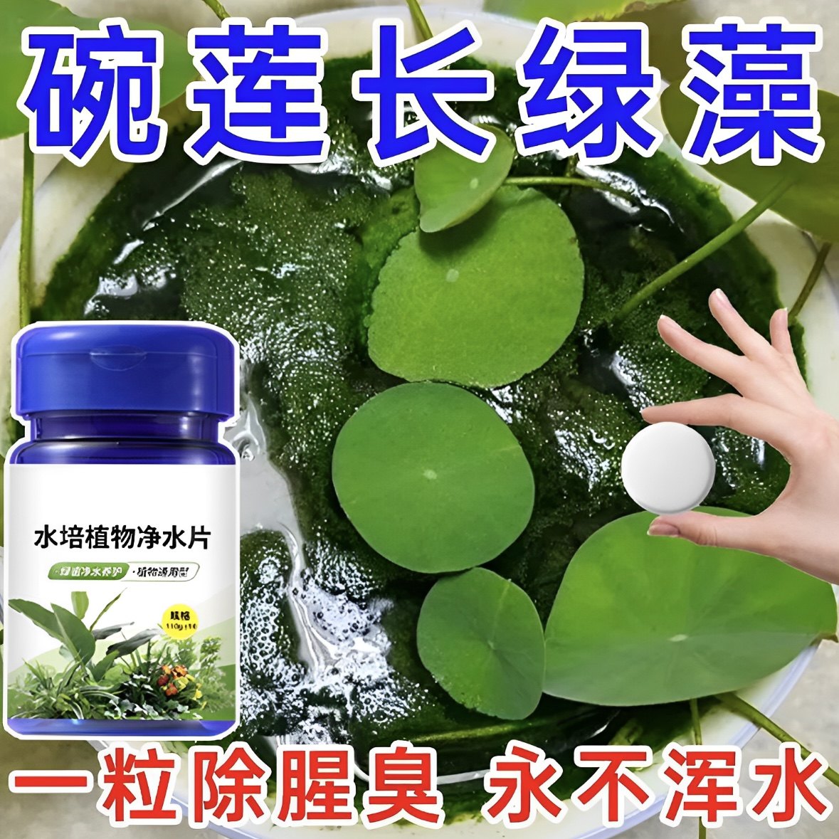 鲜花保鲜消毒片水培植物专用净水片富贵竹碗莲净水保鲜花卉除藻片,淘宝优惠券,粉丝福利购,淘宝优惠卷