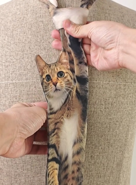 陪我上班过节的猫咪领带