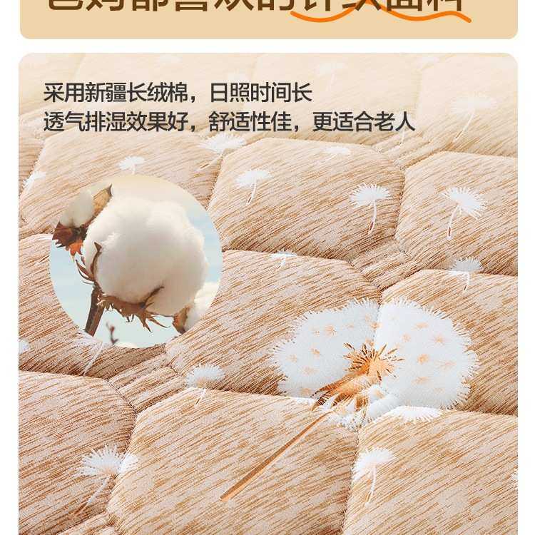 老人护脊床垫硬床板护腰护脊家用卧室3e环保椰棕无甲醛薄天然乳胶,淘宝优惠券,粉丝福利购,淘宝优惠卷