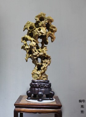 石湖石摆件精品 奇太摆件  观赏石 原石 太湖石天然供石摆件