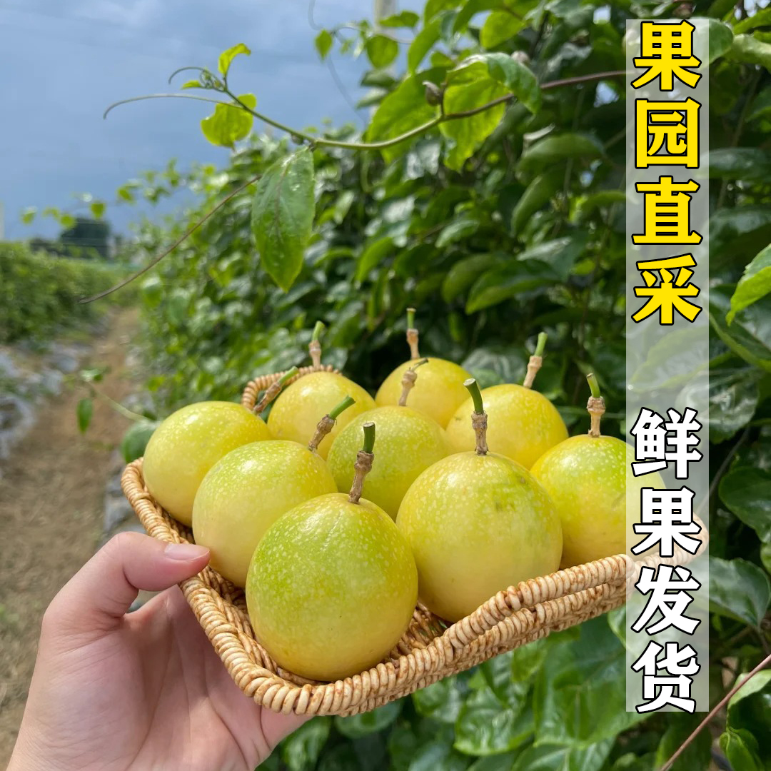 正宗海南钦蜜9号黄金百香果当季新鲜现摘纯甜水果特大果3/5斤包邮-图0