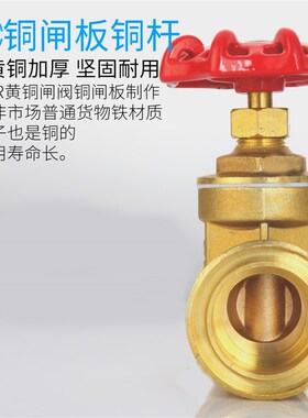 PPR黄铜闸阀自来水管表前ppr阀门双头活接铜球阀热熔管4分6分1寸