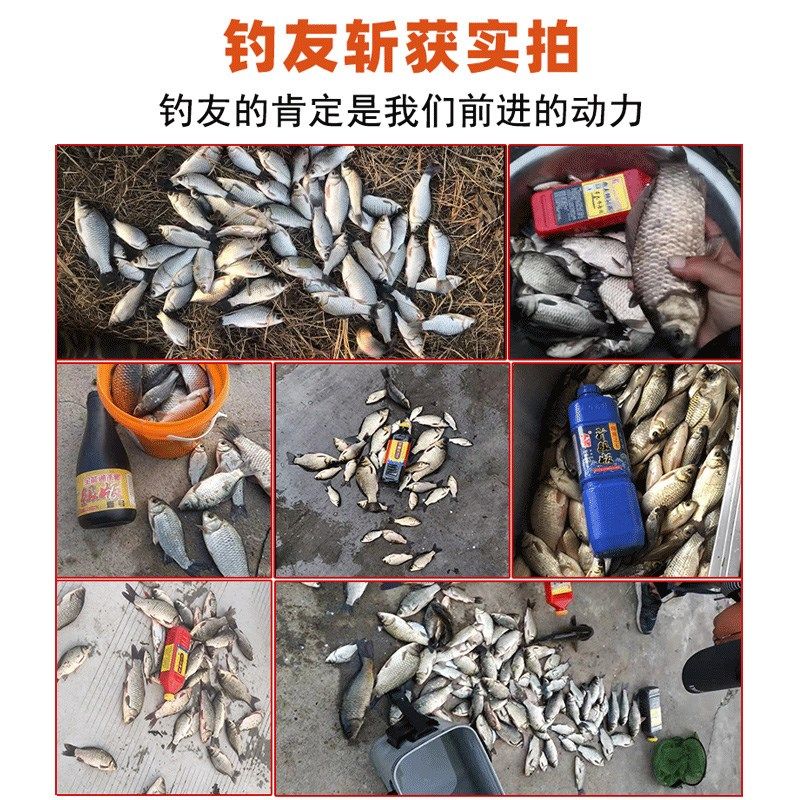 老马鲫鱼之爆护专家王升级版窝料野钓打窝米底窝料黑坑酒米鲤鱼饵,淘宝优惠券,粉丝福利购,淘宝优惠卷